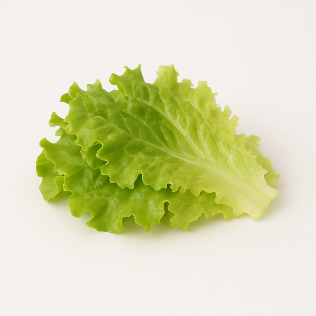 Lettuce